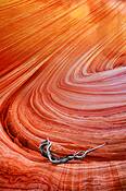 Fire_in_the_rock