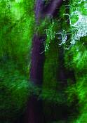 Untitled_2