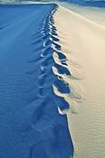 Bruno_dunes