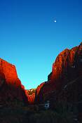 Zion_national_park