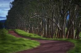 Mana_road