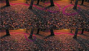 Four_paths_to___