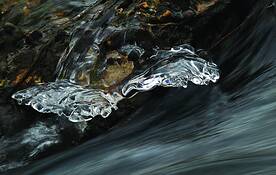 Frozen_light