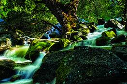 Spring_runoff