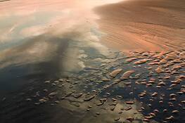 Reflection_in_sand