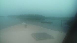 Fog