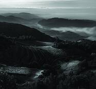 Sonoma_valley_fog