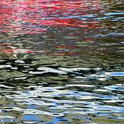 Untitled_1