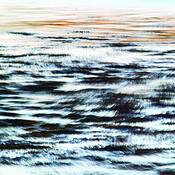 Untitled_8