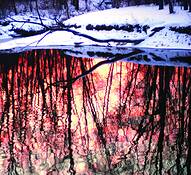 Untitled_7