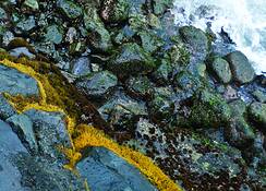 Shoreline