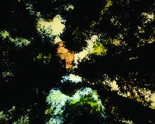Untitled_1