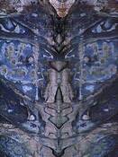 Butterfly_face