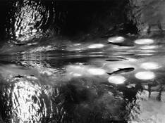 Vortex