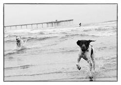 Playtime