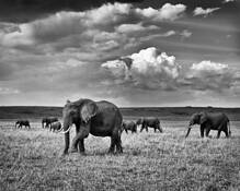 Masai_mara_sky