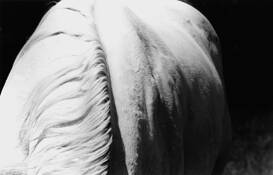 Gentle_slopes