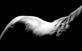 Out_of_and_into_darkness