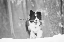 The_magnificant_meg_of_manyunk
