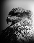 Royal_portrait