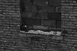 Homeless
