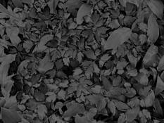 Untitled_10