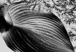 Untitled_3