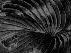 Untitled_5
