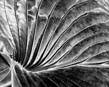 Untitled_6