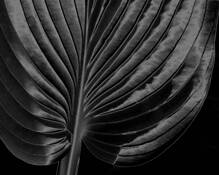 Untitled_7
