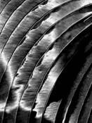 Untitled_8