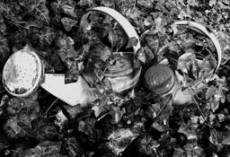 Untitled_9