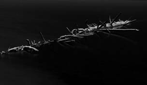 Untitled_2