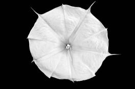 Untitled_1