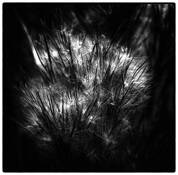 Untitled_11