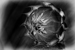 Untitled_2