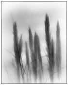 Untitled_4