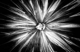 Untitled_5