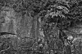 Gorge_wall