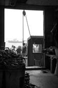 Jonesport_fishermen