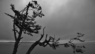 Broken_waterline
