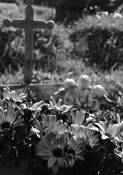 Garden_angel