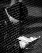 Searching