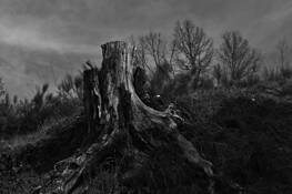 Past_glories