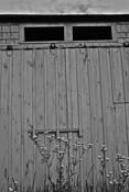 Barn