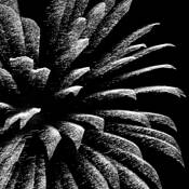 Pyrotechnic_7