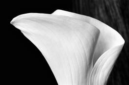 Untitled_1
