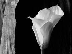 Untitled_2