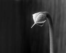 Untitled_3