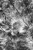 Patterns